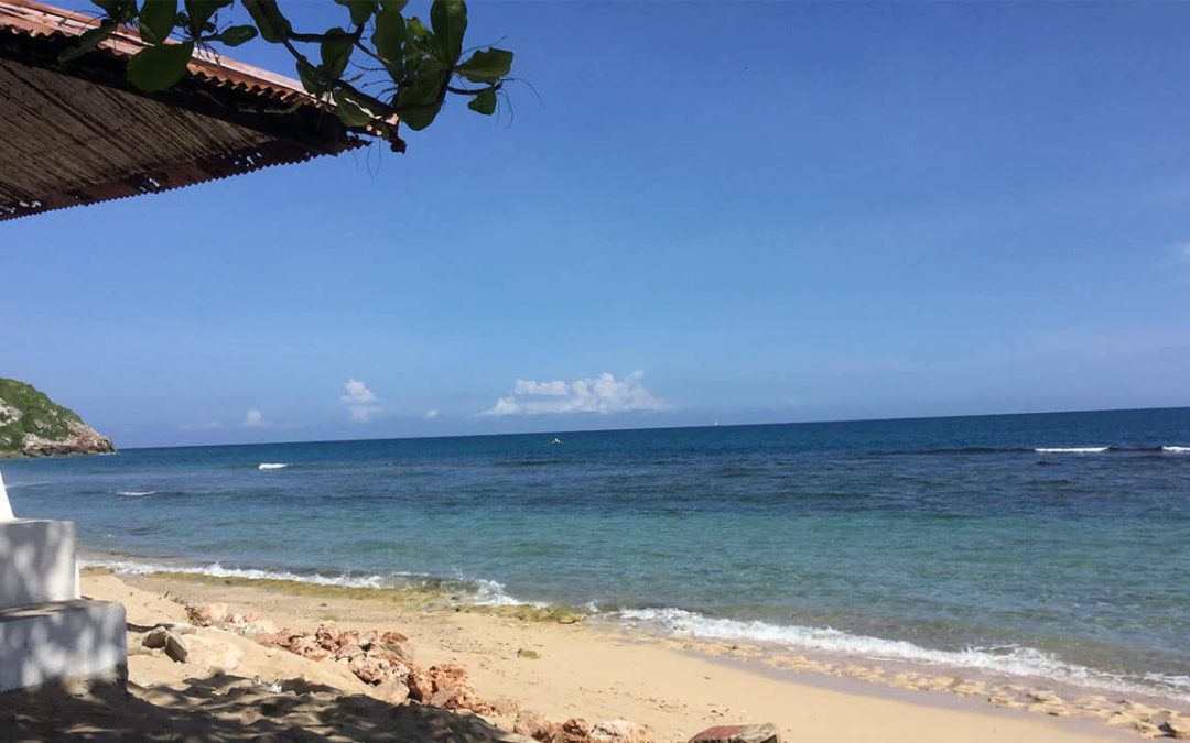 Jeff Haag Visits Sigora Haiti And HADPRE In Haiti 2019